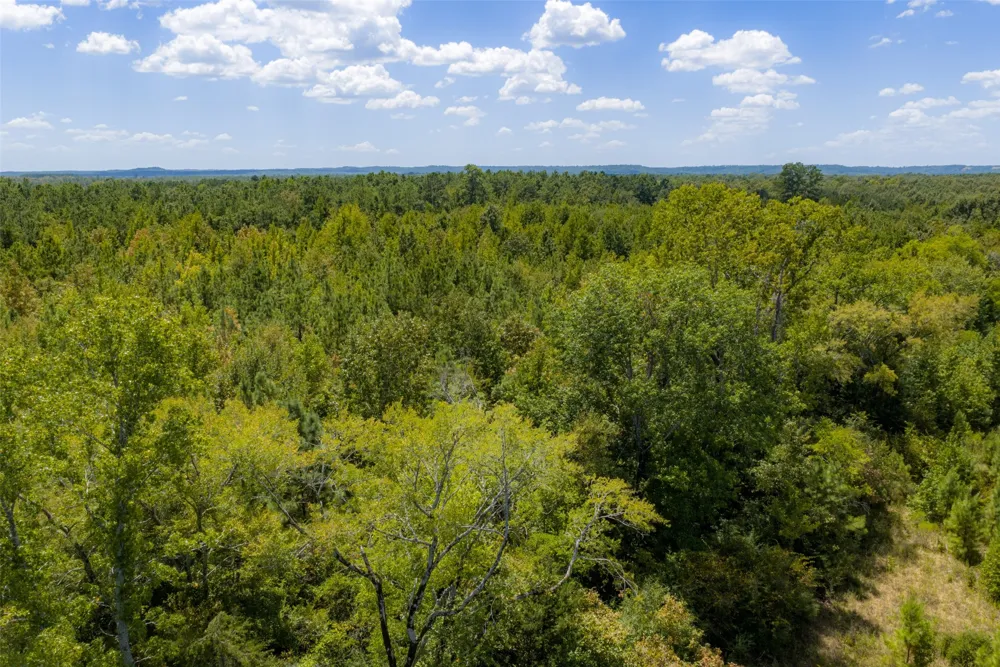 County Road 1207 Rusk, TX 75785