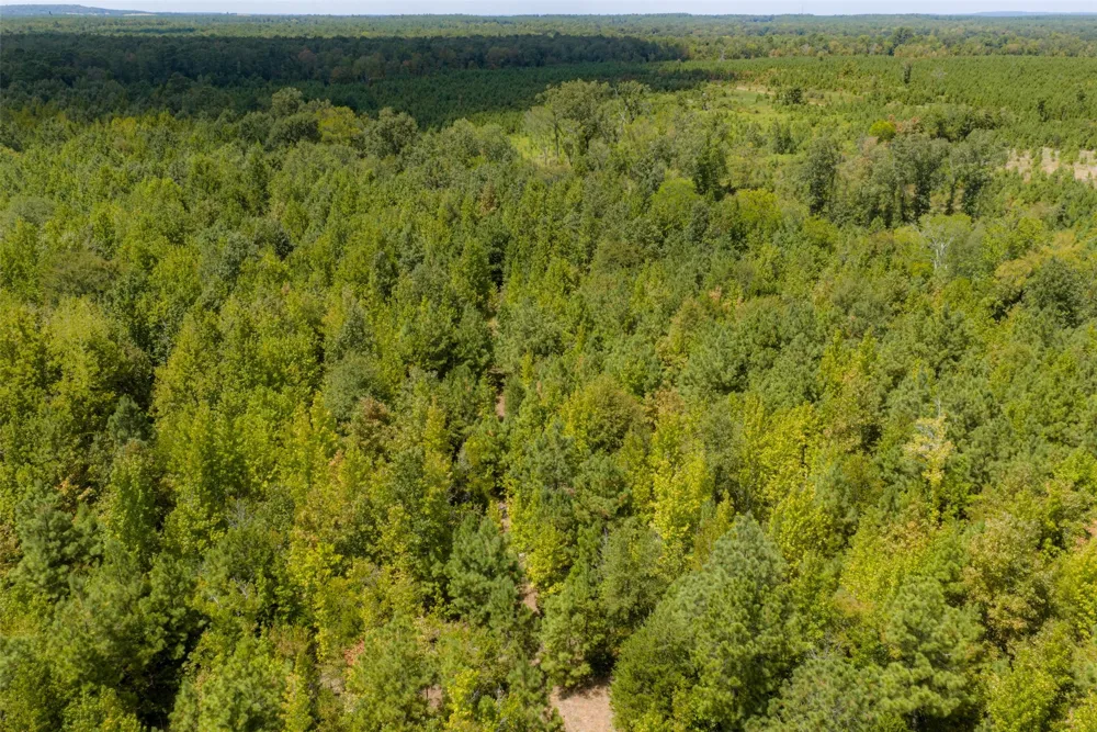 County Road 1207 Rusk, TX 75785