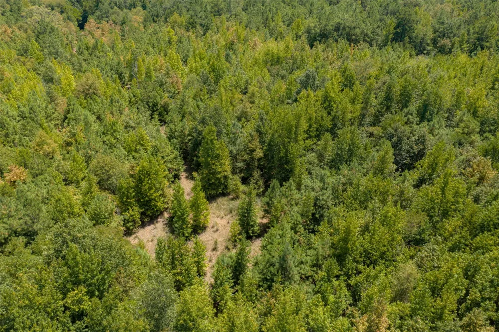County Road 1207 Rusk, TX 75785