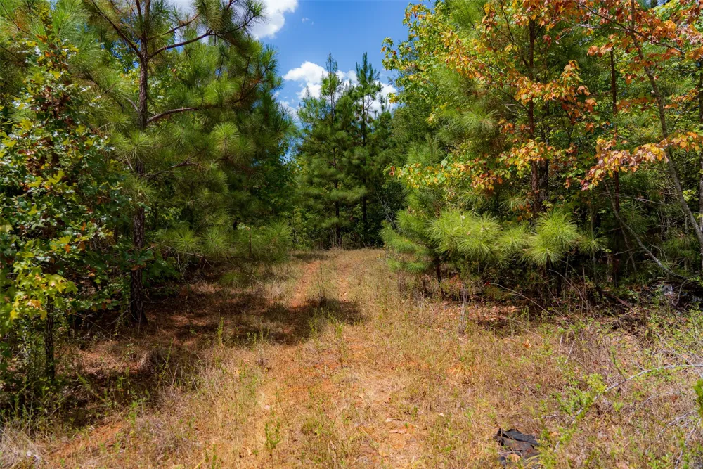 County Road 1207 Rusk, TX 75785