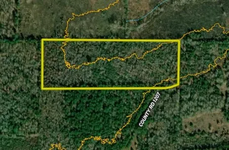 County Road 1207 Rusk, TX 75785