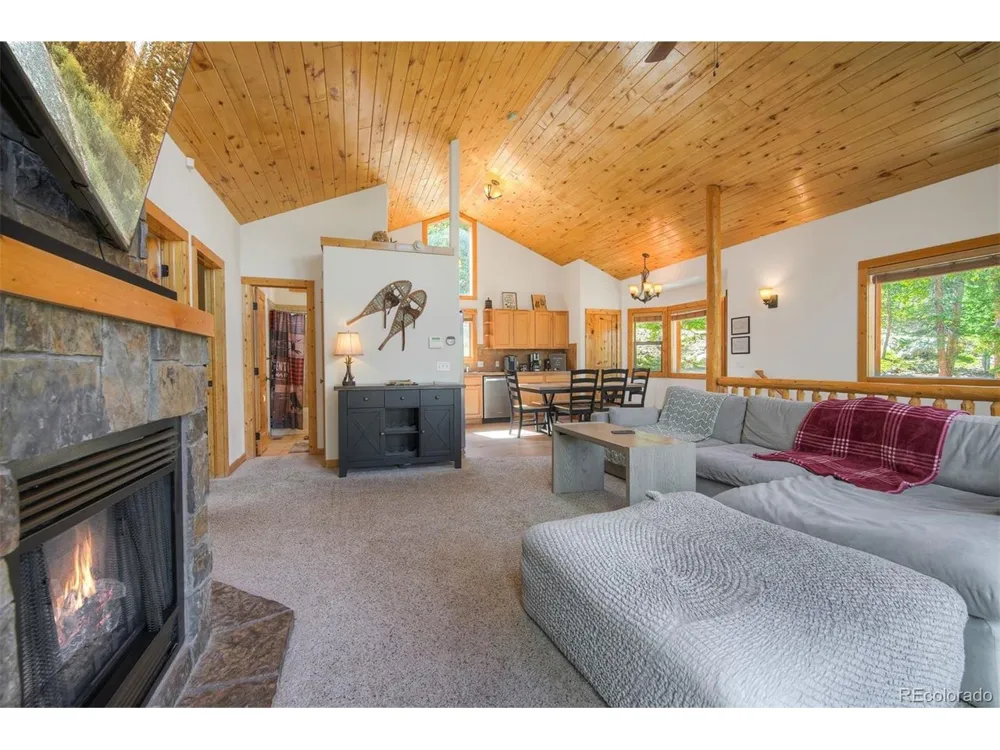 272 Porcupine Road Fairplay, CO 80440