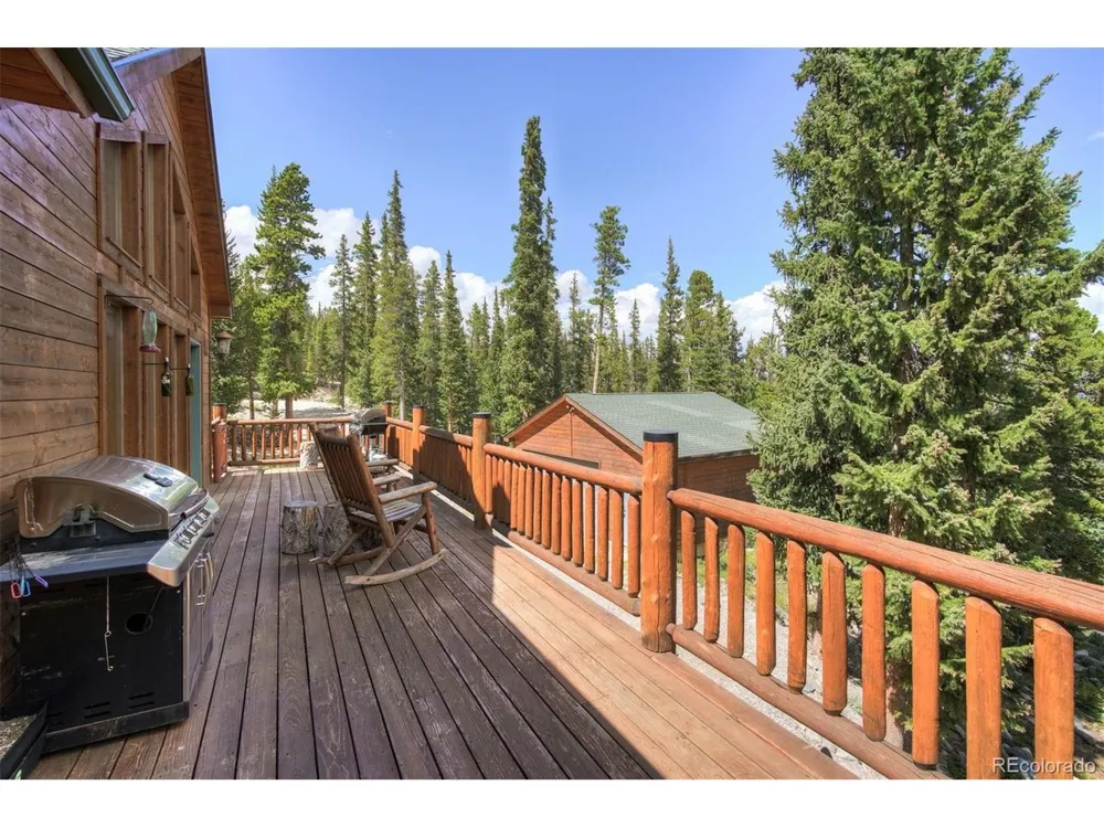 272 Porcupine Road Fairplay, CO 80440