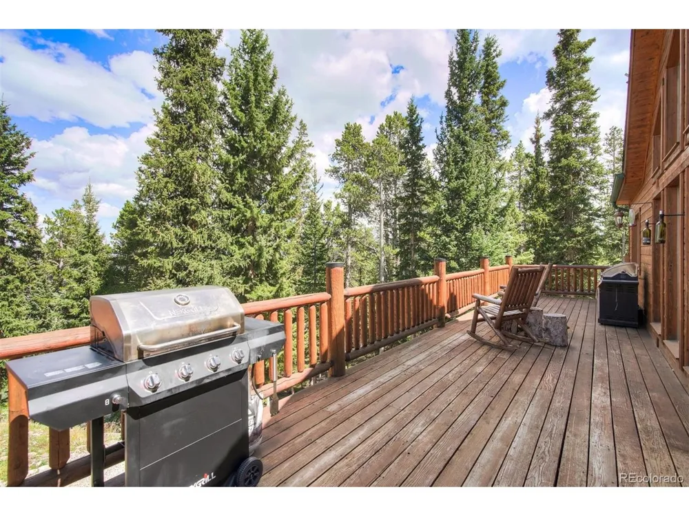 272 Porcupine Road Fairplay, CO 80440