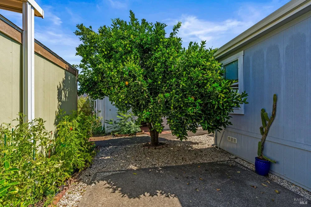 6468 Washington Street ##20 Yountville, CA 94599