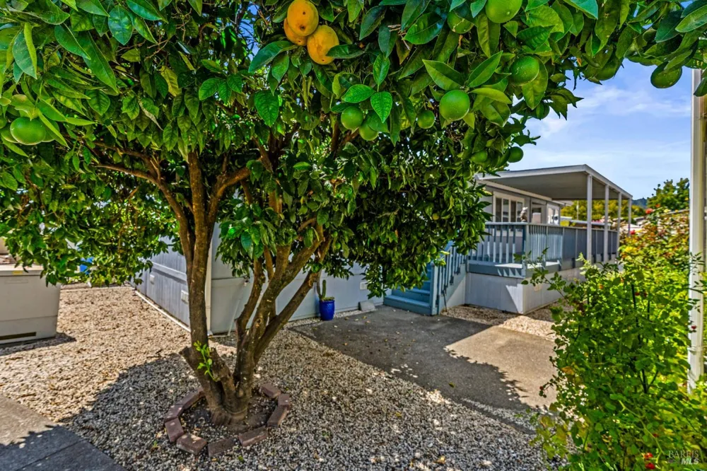 6468 Washington Street ##20 Yountville, CA 94599