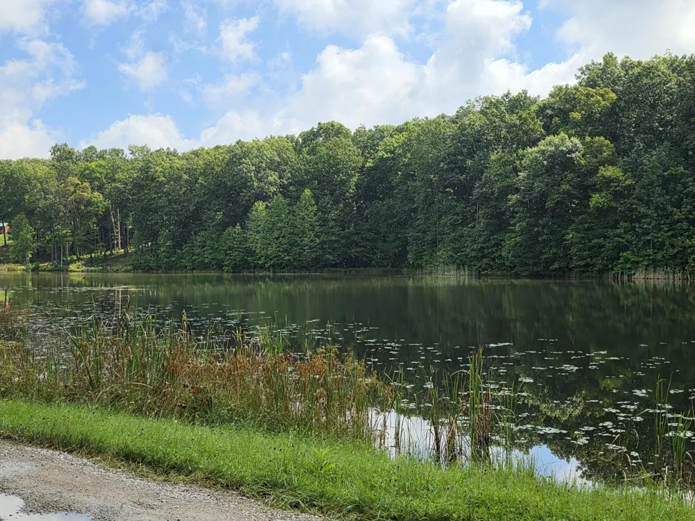 12 Valley View Drive Altamont, TN 37301