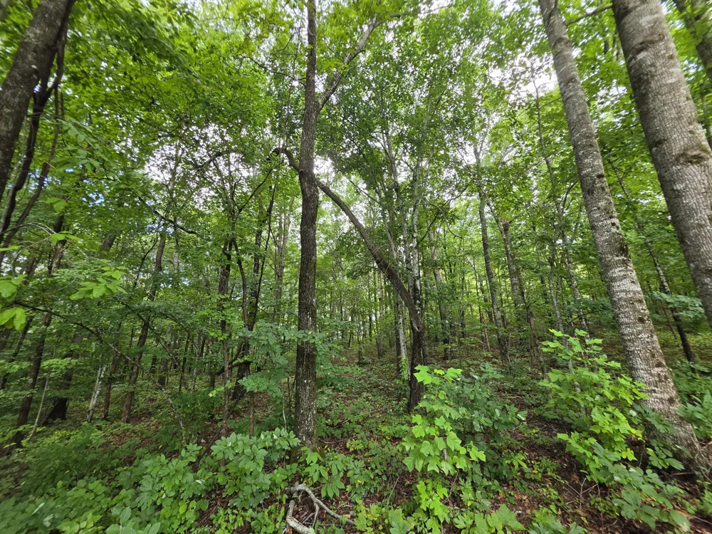 12 Valley View Drive Altamont, TN 37301