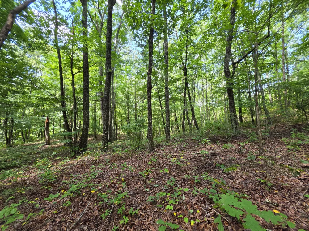 12 Valley View Drive Altamont, TN 37301