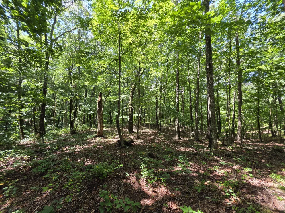 12 Valley View Drive Altamont, TN 37301