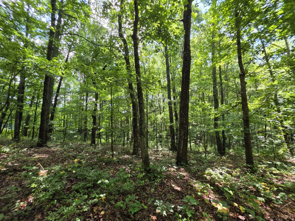 12 Valley View Drive Altamont, TN 37301