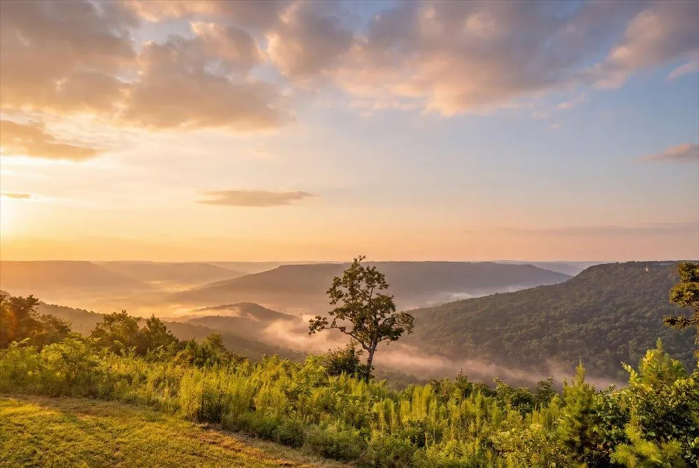 Cumberland Circle Jasper, TN 37347