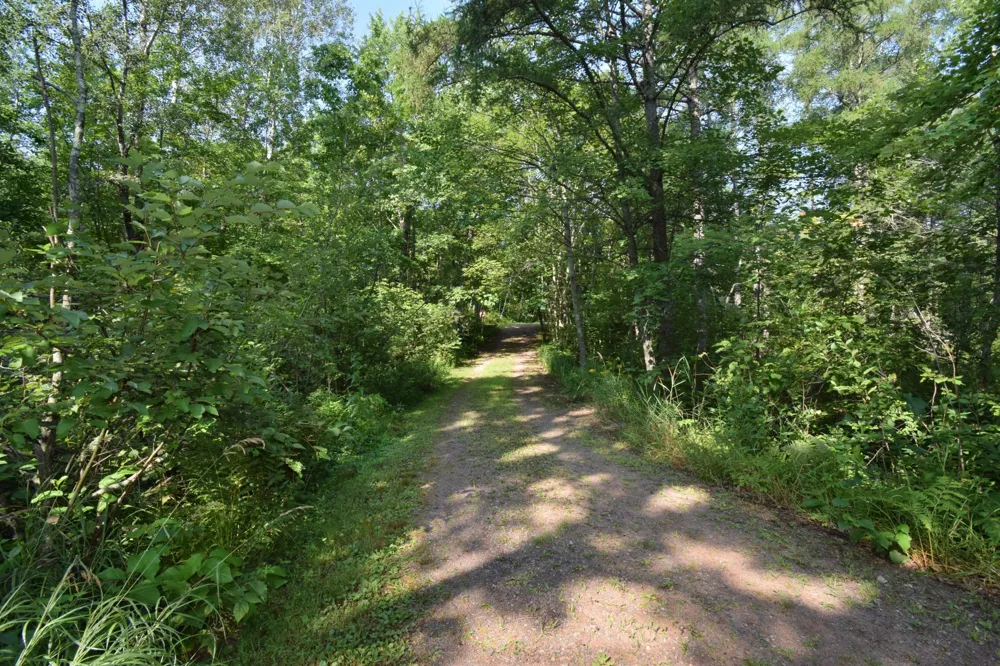 N4082 Deep Lake Road Sarona, WI 54870