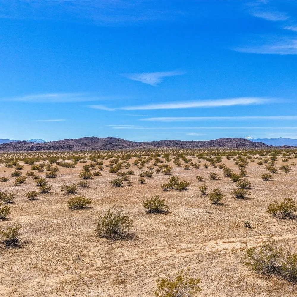 54 Fascination Avenue Joshua Tree, CA 92252