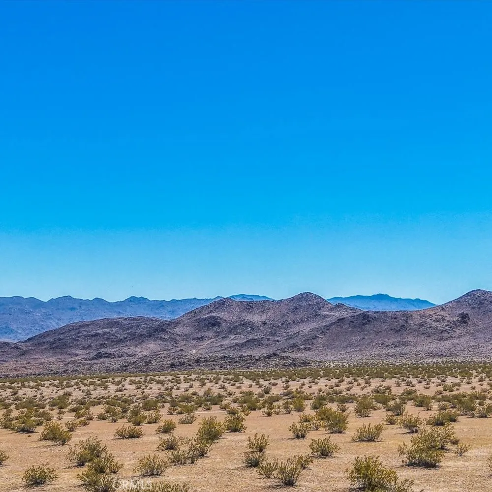 54 Fascination Avenue Joshua Tree, CA 92252