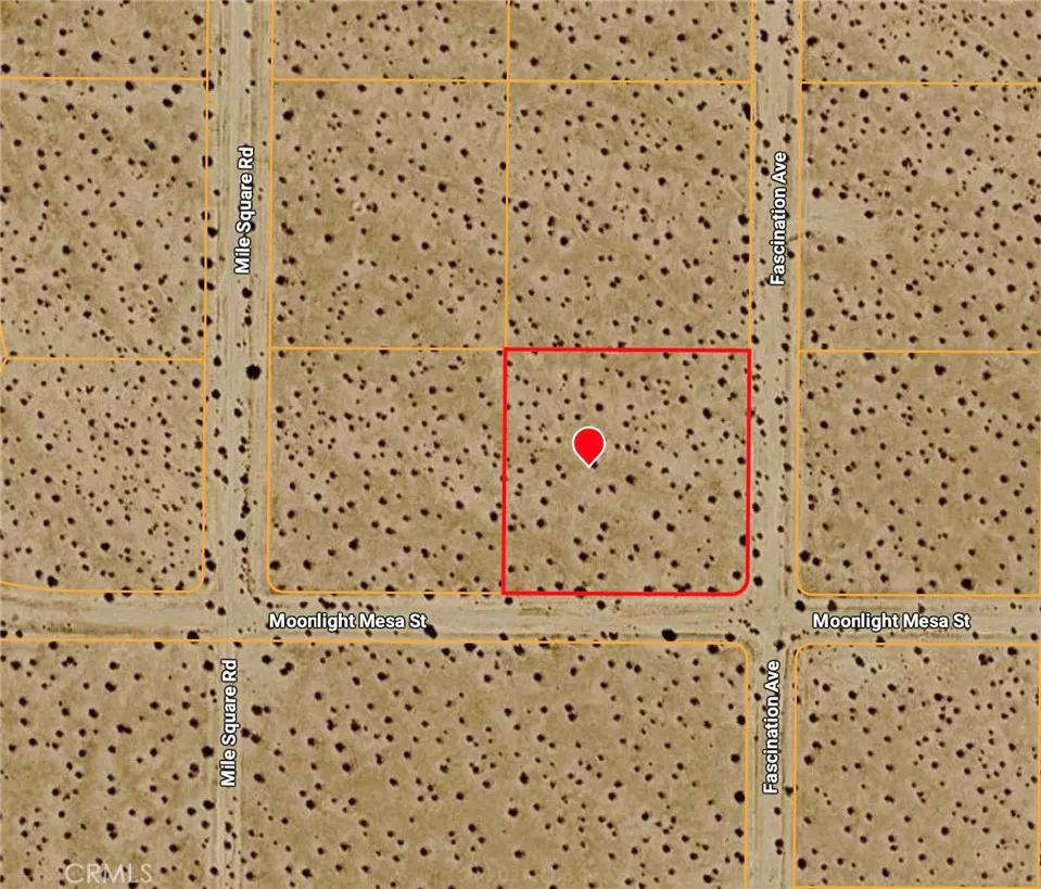54 Fascination Avenue Joshua Tree, CA 92252