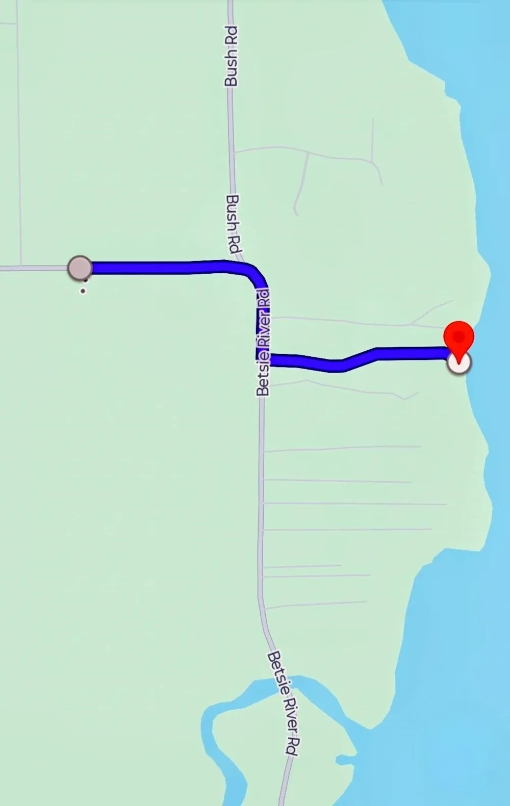 5896 Betsie River Road Grant Township, MI 49643