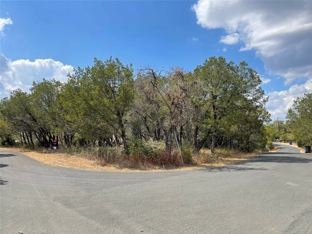 25406 Pedernales Point Drive Spicewood, TX 78669