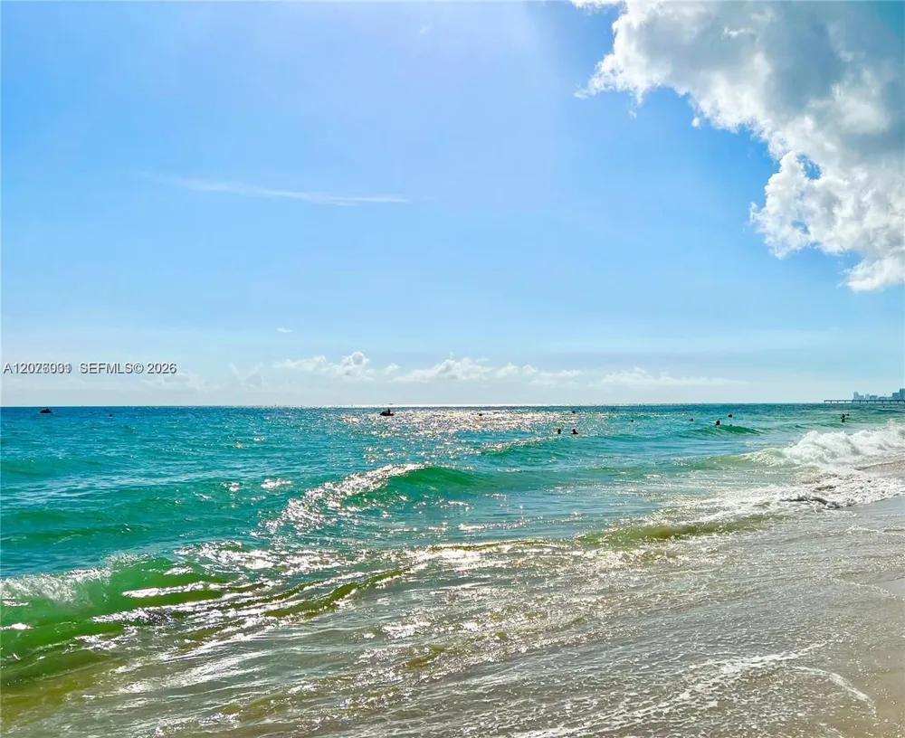 230 174th St #1110 Sunny Isles Beach, FL 33160