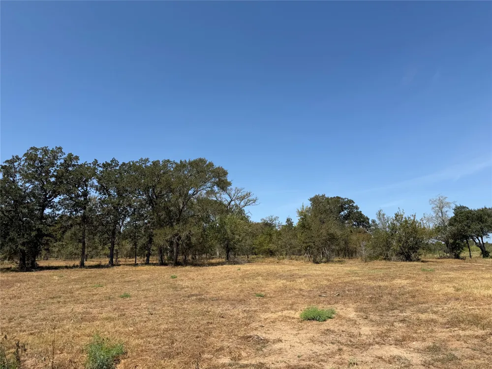 1 Willis Ln Lane Smithville, TX 78957