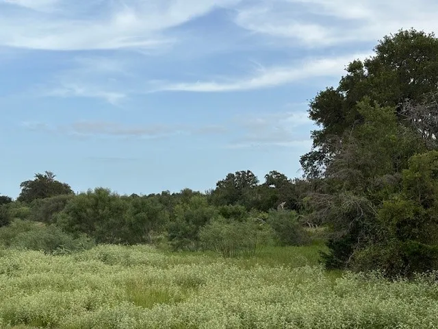 1 Willis Ln Lane Smithville, TX 78957