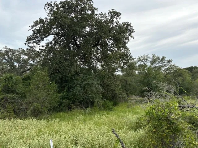 1 Willis Ln Lane Smithville, TX 78957