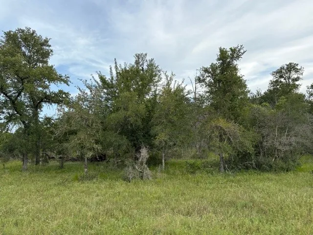 1 Willis Ln Lane Smithville, TX 78957