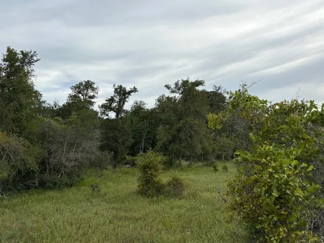 1 Willis Ln Lane Smithville, TX 78957