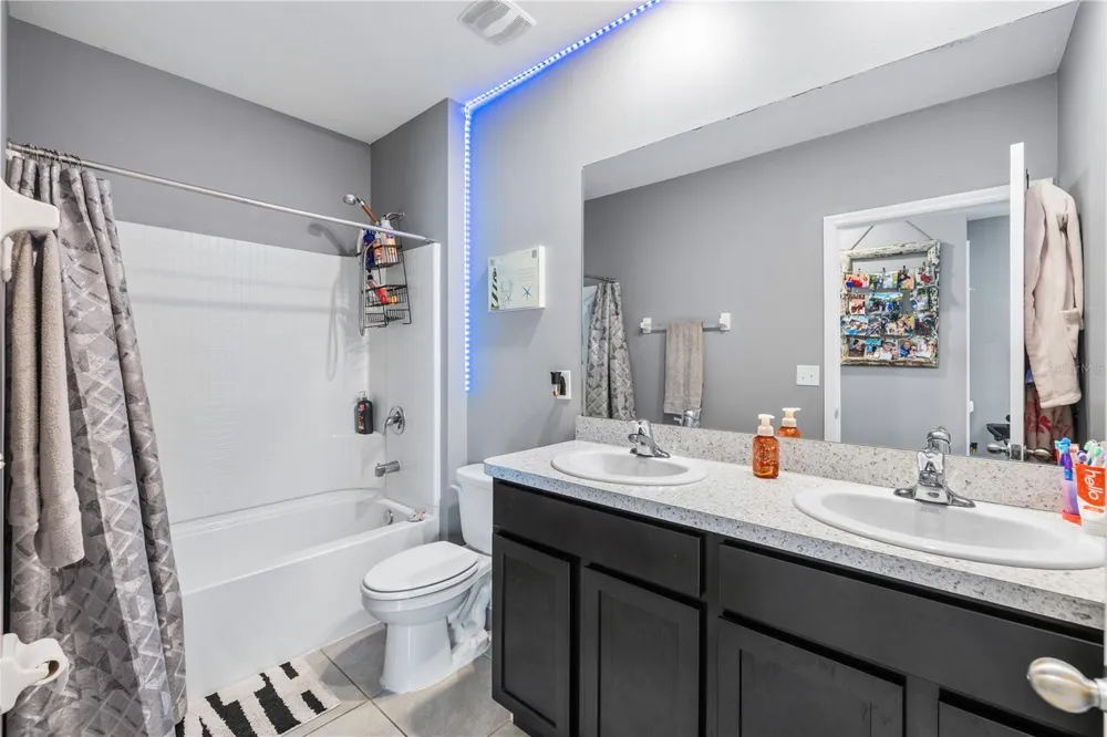 32688 CANYONLANDS DRIVE Wesley Chapel, FL 33543