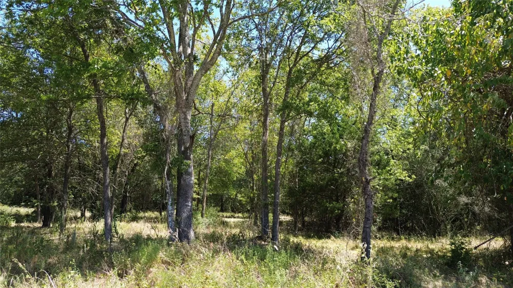 270 Fcr #661 Teague, TX 75840
