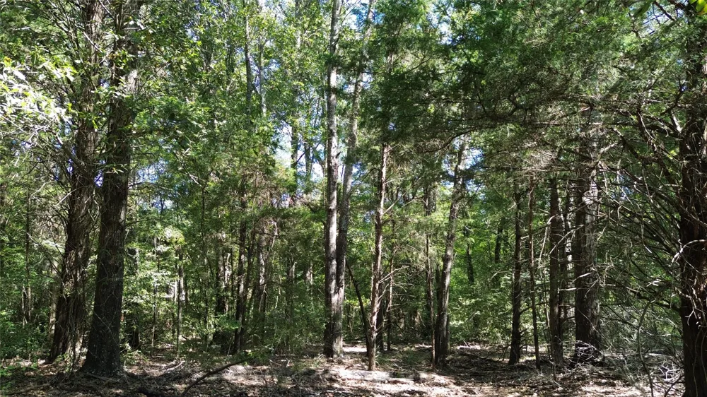 270 Fcr #661 Teague, TX 75840