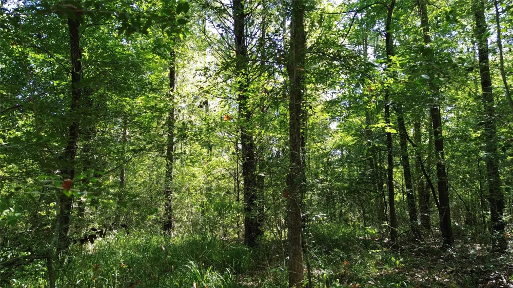 270 Fcr #661 Teague, TX 75840