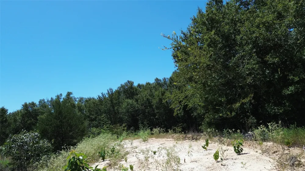 270 Fcr #661 Teague, TX 75840