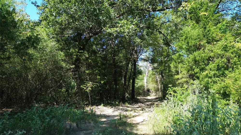 270 Fcr #661 Teague, TX 75840