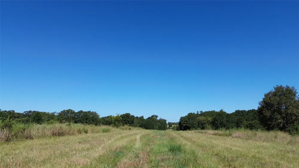 270 Fcr #661 Teague, TX 75840