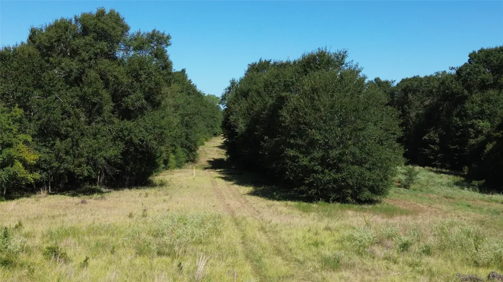270 Fcr #661 Teague, TX 75840