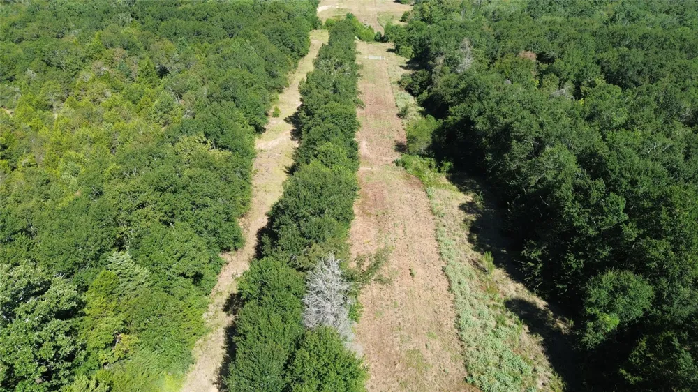 270 Fcr #661 Teague, TX 75840