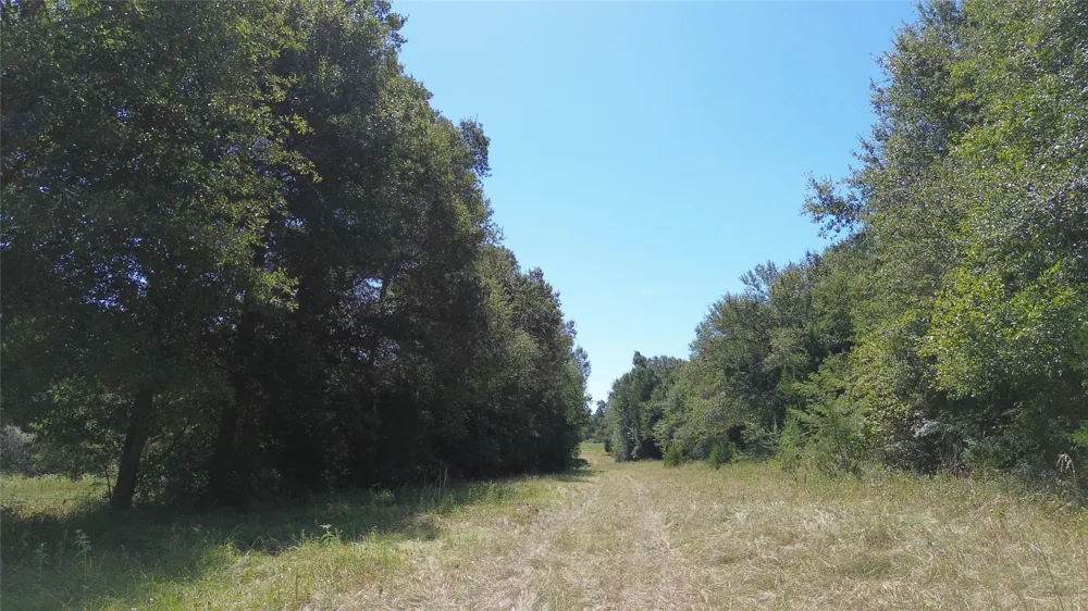270 Fcr #661 Teague, TX 75840