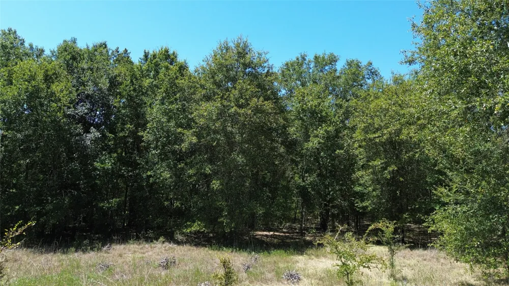 270 Fcr #661 Teague, TX 75840