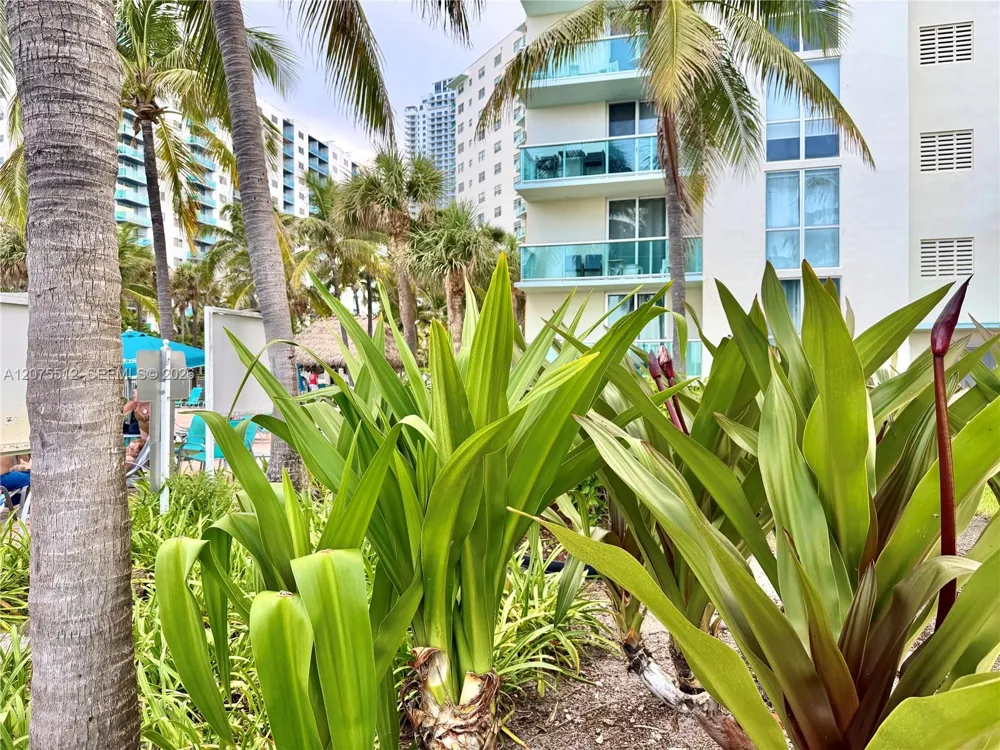 3901 S Ocean Dr #15O Hollywood, FL 33019