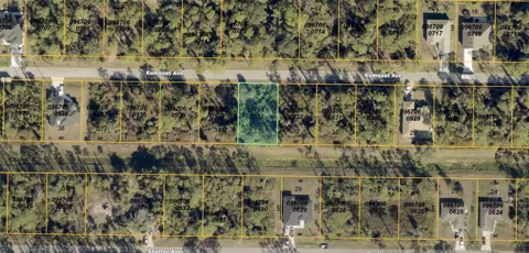 KUMQUAT AVENUE