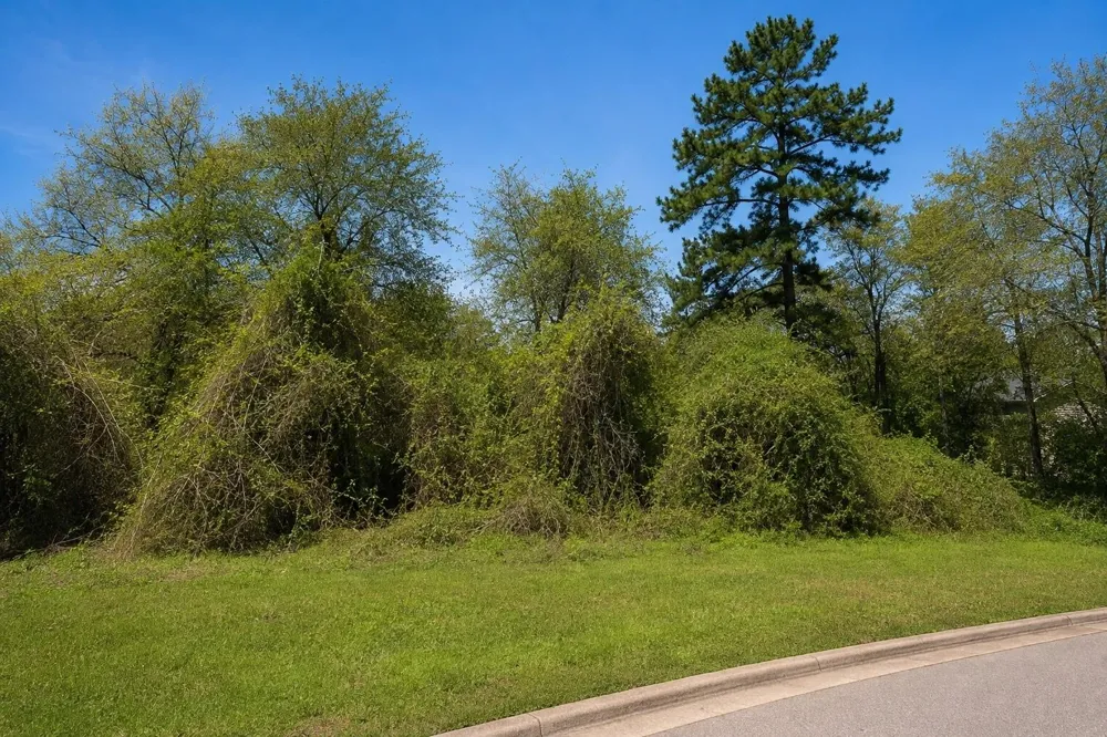 3107 Canterbury Lane Montgomery, TX 77356