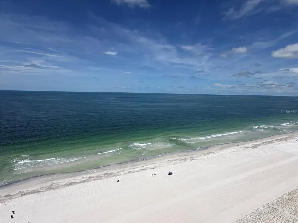 1238 S MISSOURI AVENUE #102 Clearwater, FL 33756