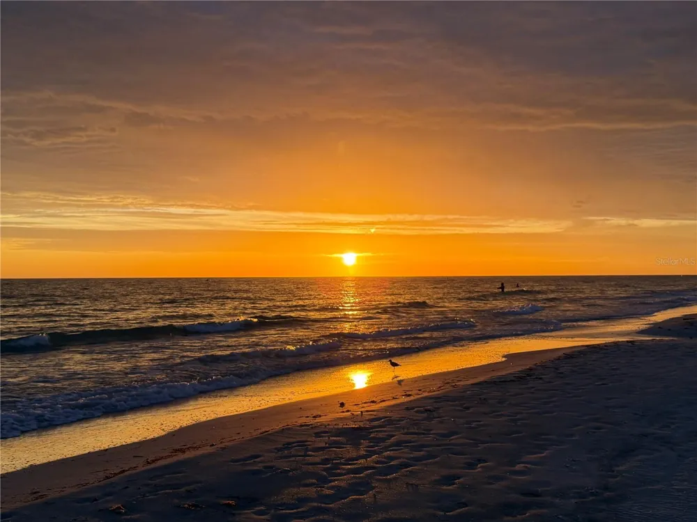 1238 S MISSOURI AVENUE #102 Clearwater, FL 33756