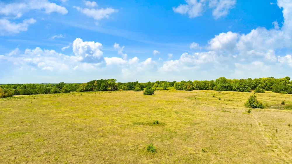 CR 26050 Roxton, TX 75477