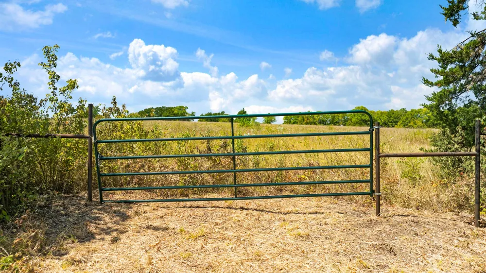 CR 26050 Roxton, TX 75477