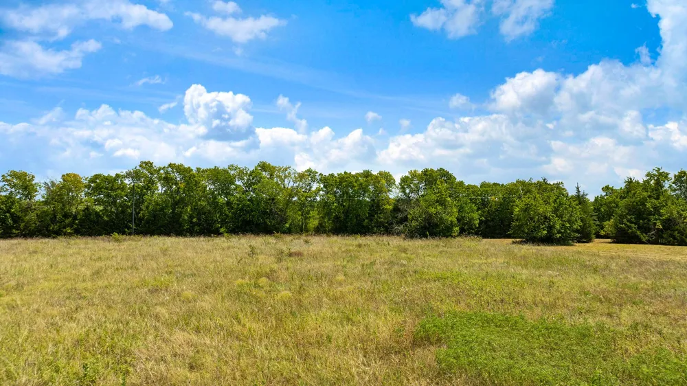 CR 26050 Roxton, TX 75477