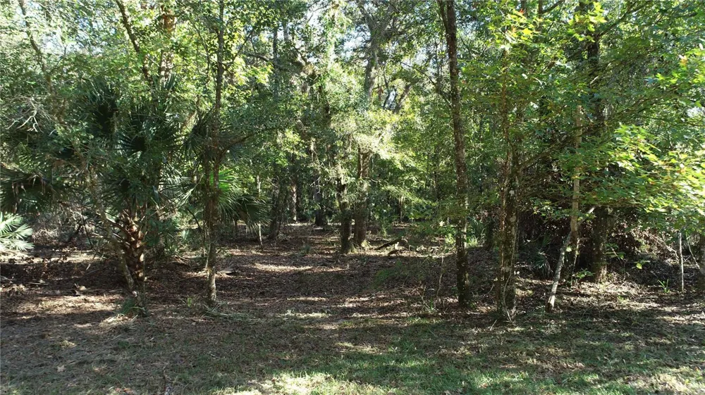 S COUNTY ROAD 13 Orlando, FL 32833
