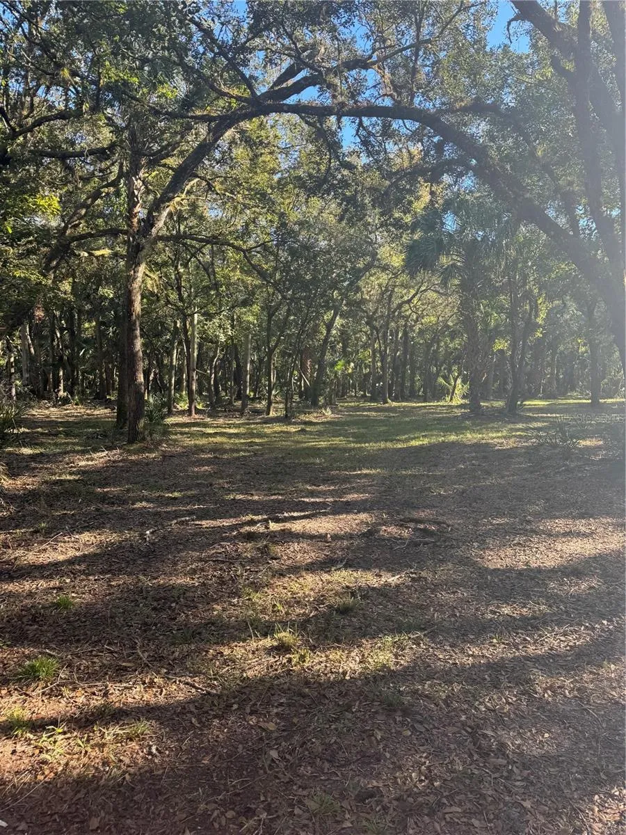 S COUNTY ROAD 13 Orlando, FL 32833