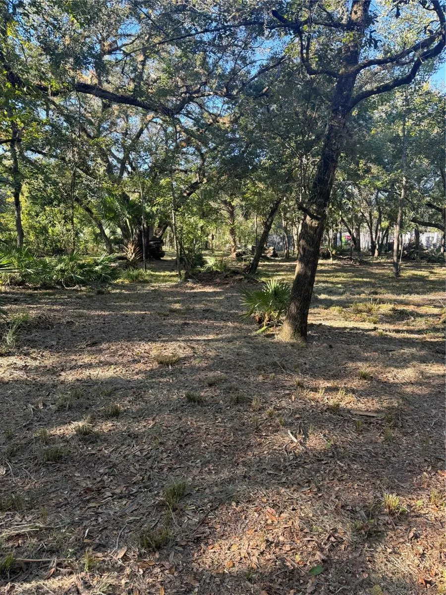 S COUNTY ROAD 13 Orlando, FL 32833